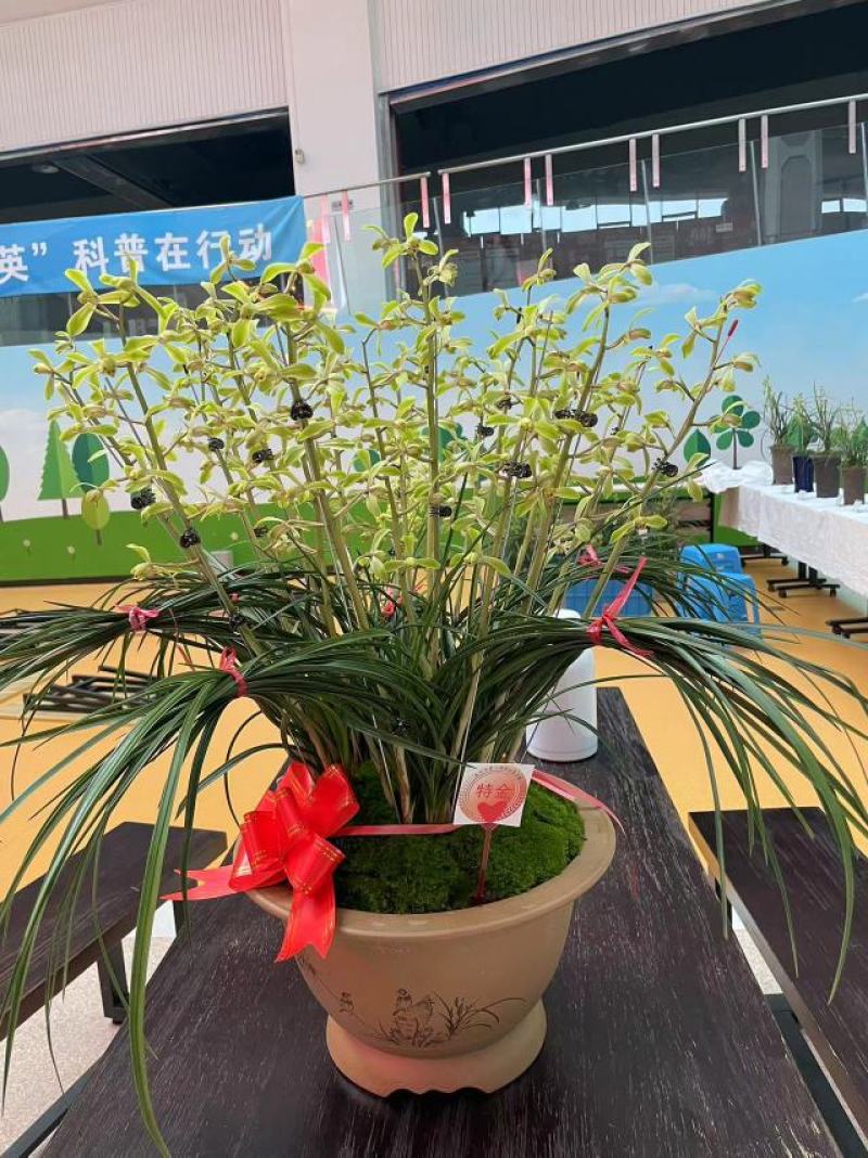 给大家科普一下“元来黄冈麻将开挂链接	”原来确实有挂-第3张图片