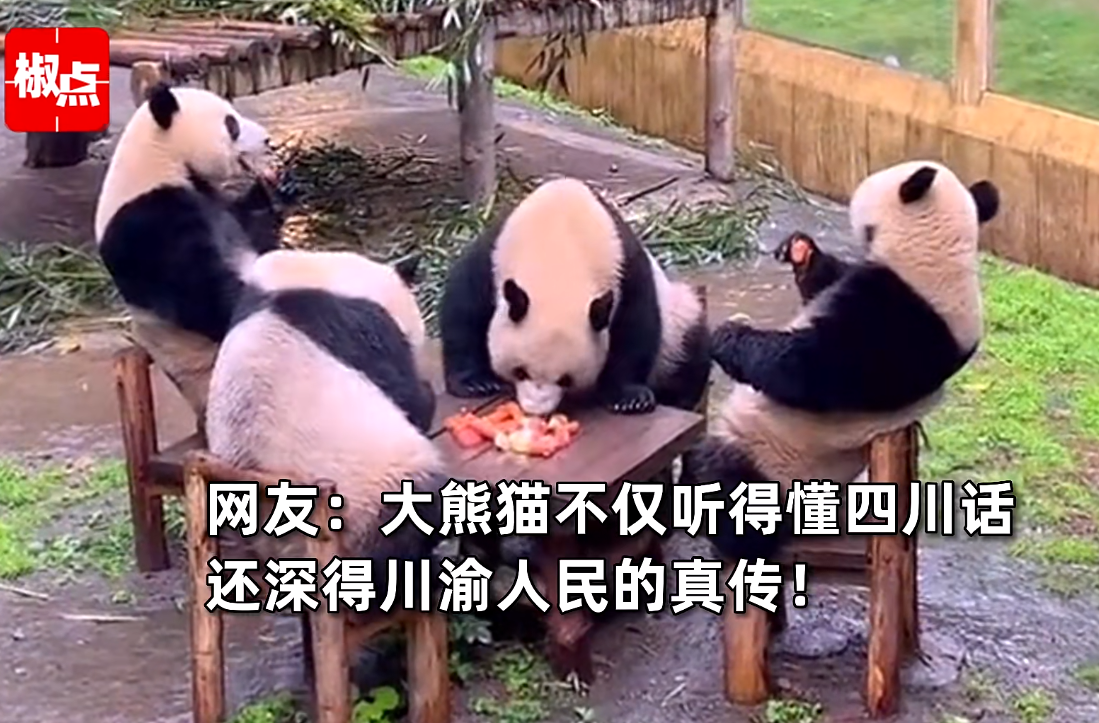 分享一款“手机熊猫麻将有挂吗	”原来确实有挂-第1张图片