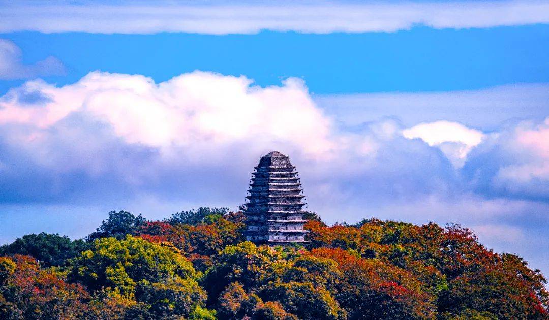 今日盘点“微乐山东麻将怎么提高胜率”原来真实可以装挂-第1张图片