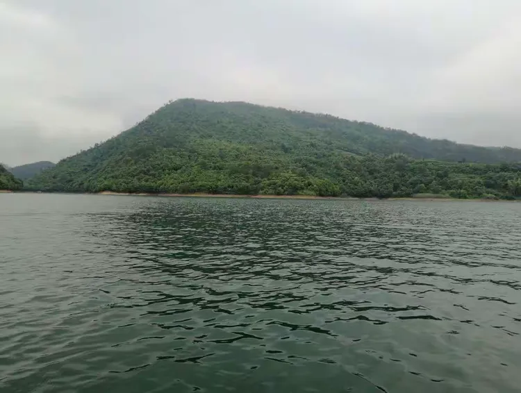 今日实测“黄山麻将开挂神器免费下载”爆光开挂猫腻-第2张图片