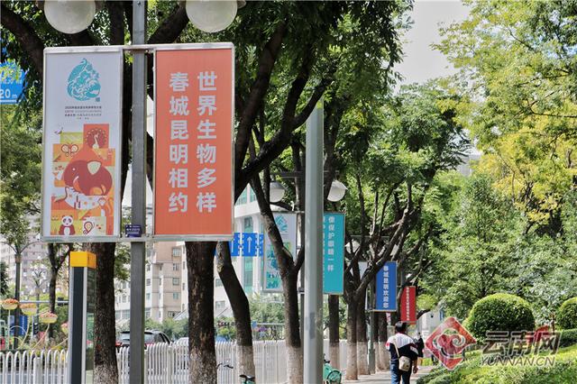 「云南增19例阳性15人系投案自首」〃云南新增19例阳性-第3张图片