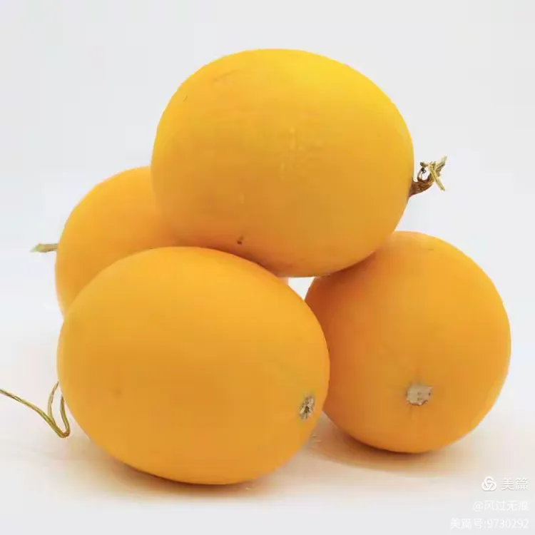 终于呈现“蜜瓜大厅有挂吗”分享装挂详-第1张图片