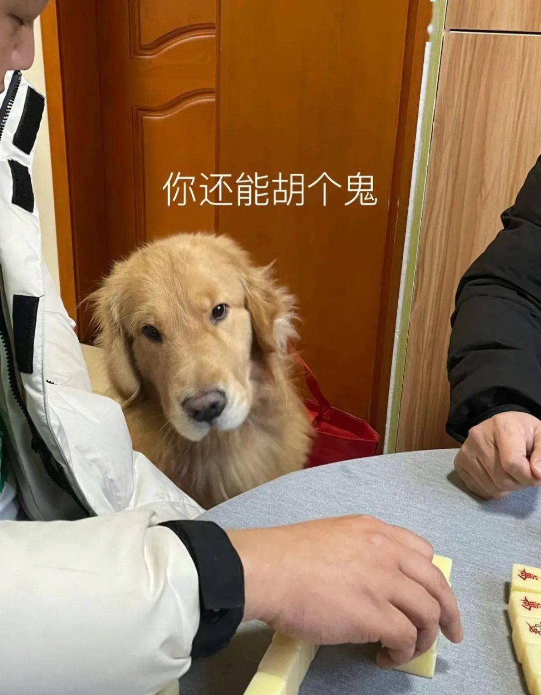 分享干货“打手机麻将一直输怎么办”的确有挂-第2张图片