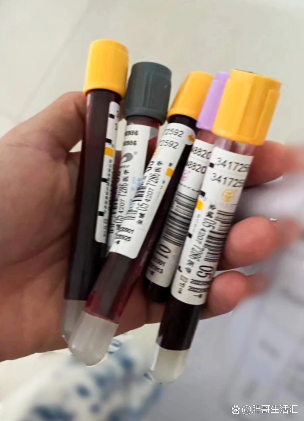 31省新增确诊33例-31省新增确诊病例23例-第2张图片