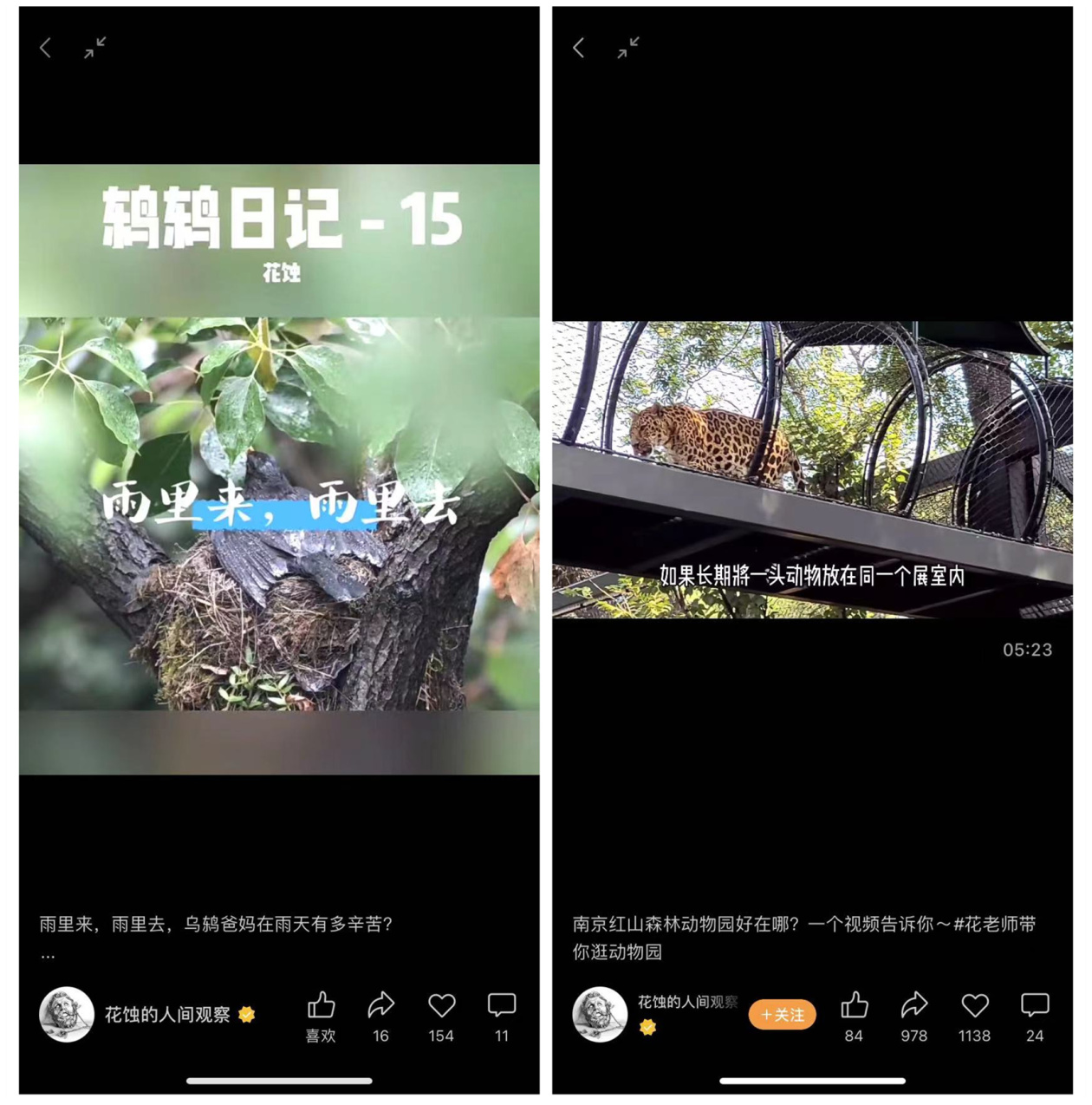 分享科普“微信皇后超级三加一辅助”确实真的有挂-第2张图片