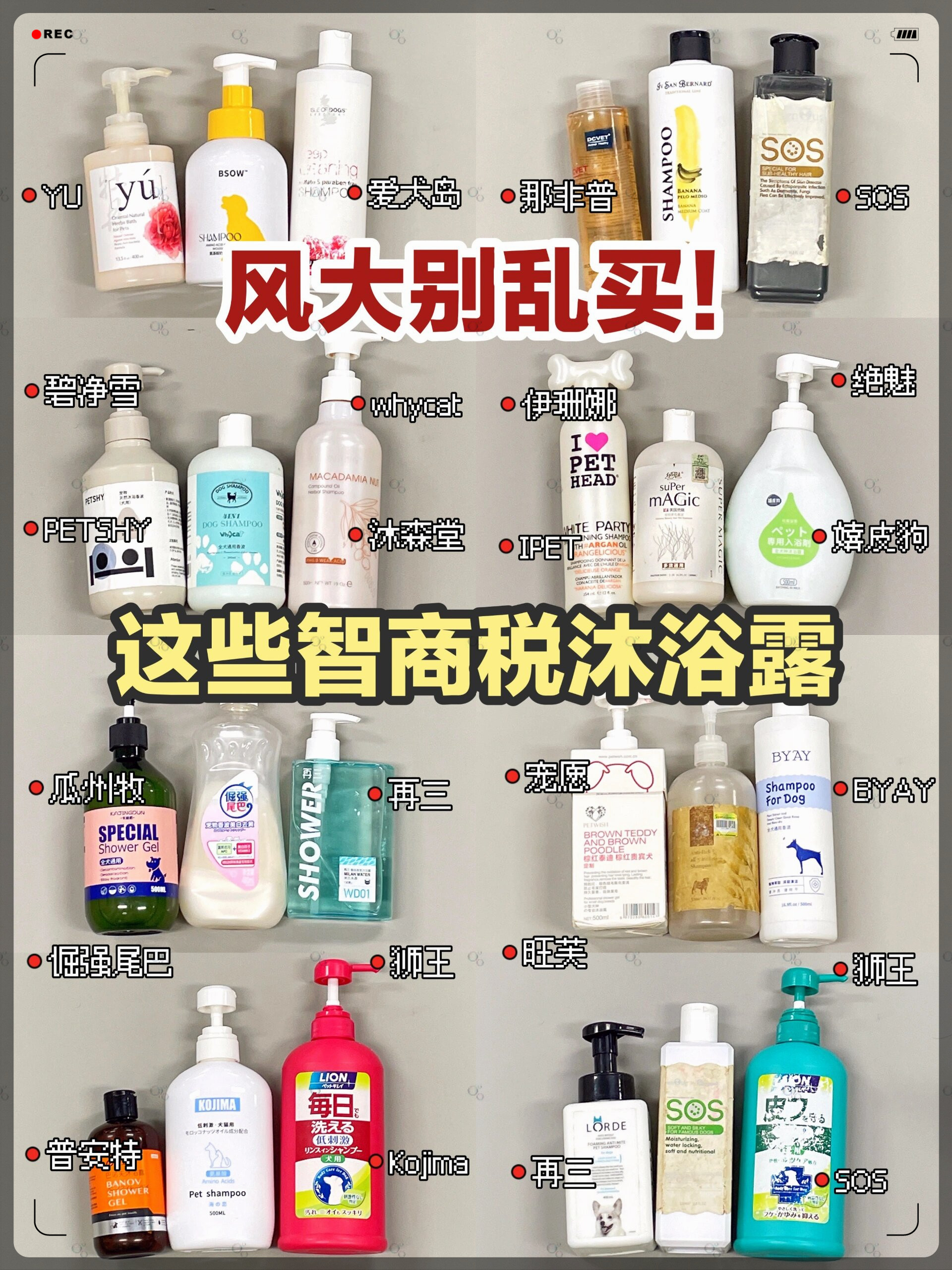 分享实测攻略“嘟嘟十三张怎么设置挂”的确有挂-第1张图片
