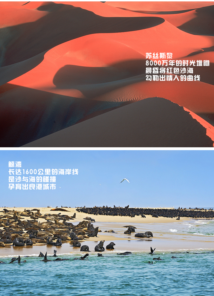 科普一下“德扑圈到底能不能控制发牌”真实开挂技巧分享-第3张图片