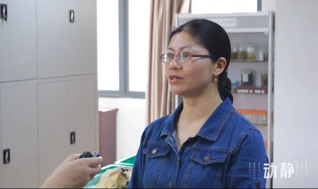 重大发现“家家乐牌吧透视挂”确实是有挂-第1张图片