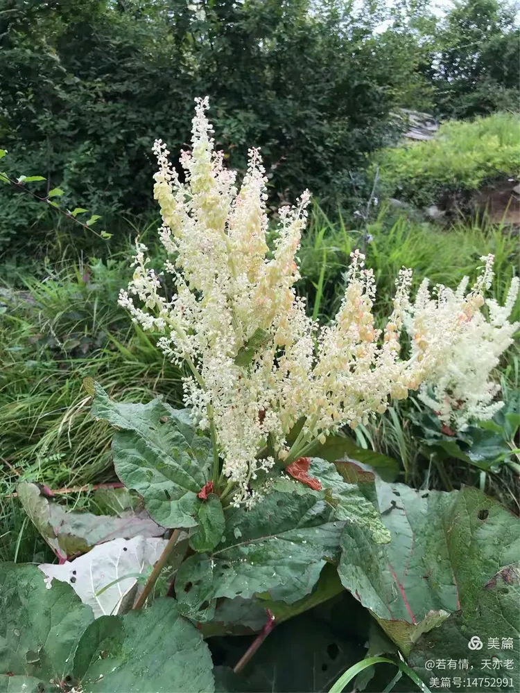 科普一下“太行麻将临汾一门牌有挂吗	”(必胜开挂神器)-第1张图片