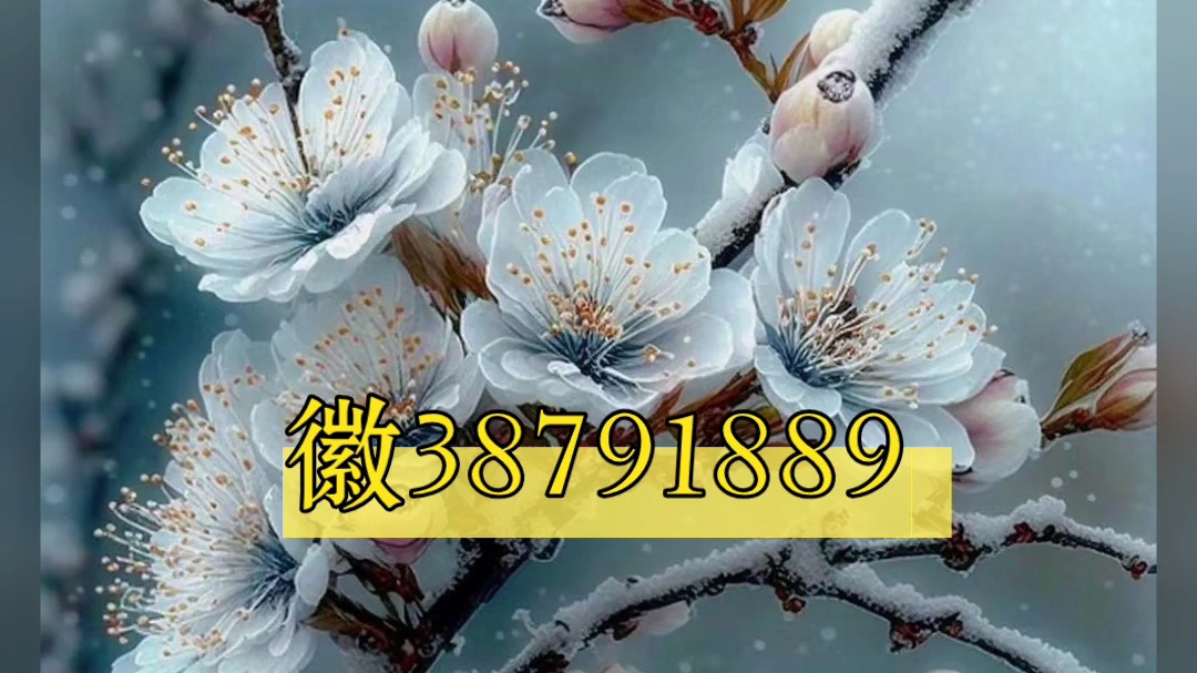 传递经验“WePoker透视挂是真的吗”万能开挂器通用版-第1张图片