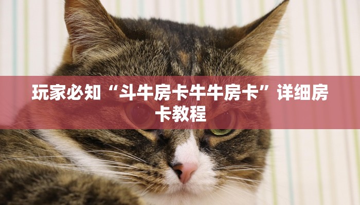 今日教程“小程序决胜麻将必赢神器下载安装	”小程序必赢神器（开挂教程）-第1张图片