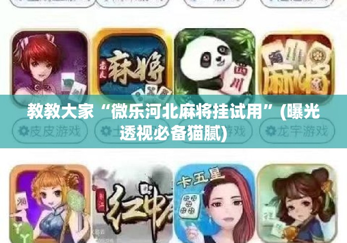 我来教教大家“微乐贵州捉鸡麻将必赢神器”必赢神器通用版-第3张图片