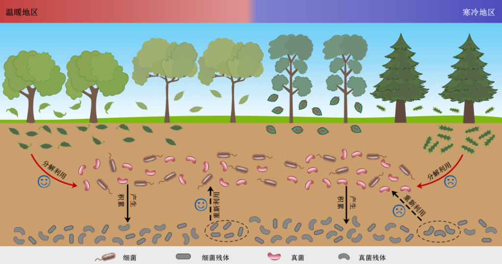 科普实测“微扑克免费开挂下载安装”开挂器软件安装-第1张图片