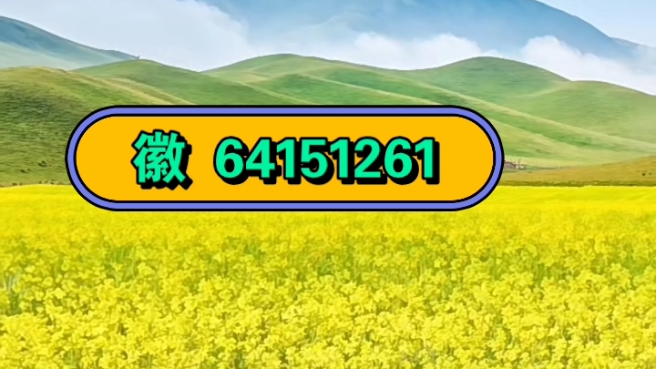 玩家必读“德州局wepoker可以开挂吗”开挂器软件安装-第1张图片