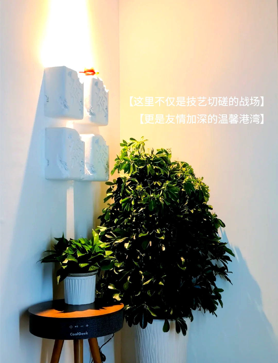 今日教程“微乐内蒙麻将真的能开挂吗”万能开挂器（确实有挂）-第3张图片