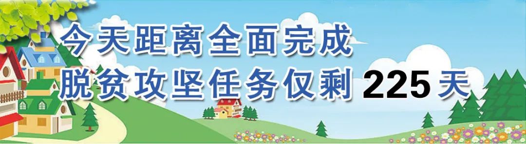 31省份新增本土病例85例.31省份新增本土病例98例-第3张图片