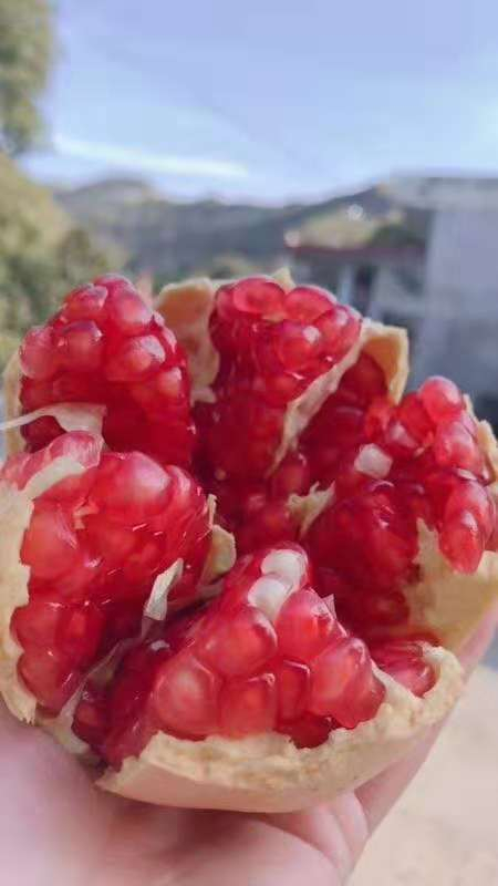临潼疫情最新情况〃临潼最新消息头条新闻-第2张图片