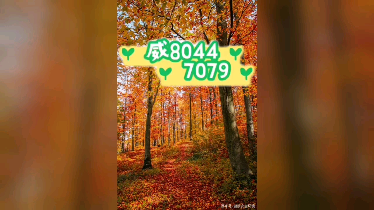 我来教教大家“小程序雀神广东麻将开挂app下载	”开挂器软件安装-第1张图片