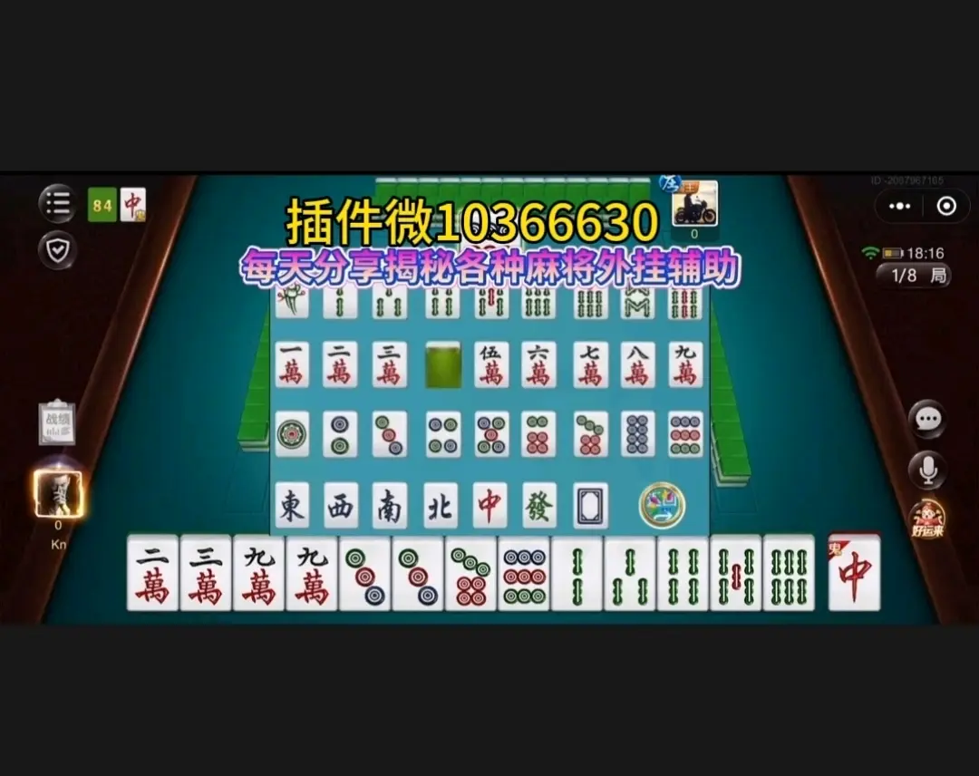 必看科普“功夫川麻小程序到底能不能开挂	”万能开挂神器（真的有挂）-第1张图片