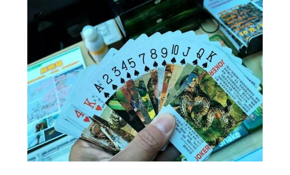 必看科普“扑克之星万能挂下载安装”万能开挂器通用版-第1张图片