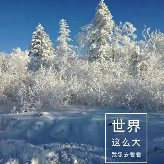 玩家必读“本溪麻将开挂方法下载”外卦神器下载安装-第1张图片