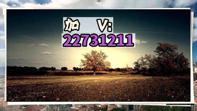 实测教程“微乐内蒙麻将万能开挂神器”开挂通用版（必备神器）-第1张图片